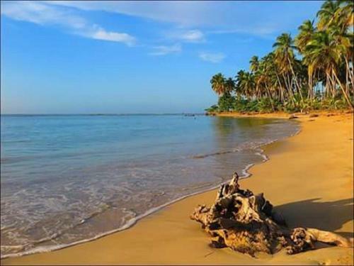 Villa Paloma Playa Ballenas
