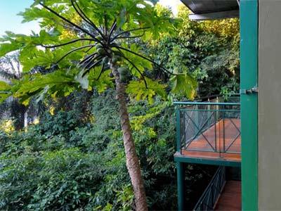 Hotel Iguazu Jungle Lodge