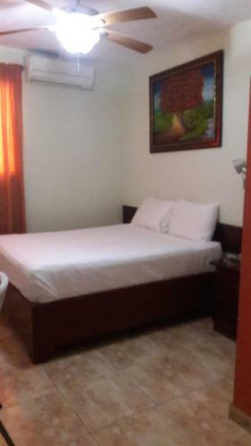Hotel Samana Spring