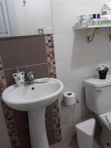 Hostal Moderno Y Elegante