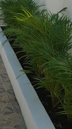 Terrazas Del Caribe, Aparta Hotel.