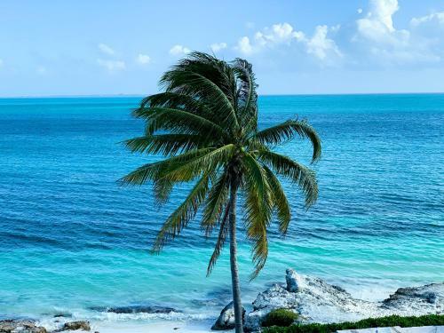 Aaa Oceanfront Luxury 4 Bedroom House - Casa Playa Tortugas