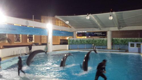 Apartamento Ocean Dream Seaview Condo