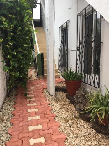 Apartamento Violeta's House