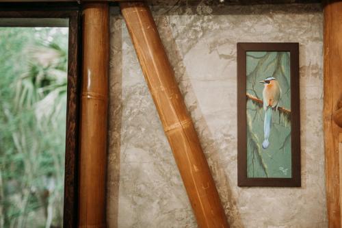 Lodge Selva Teenek Eco-park