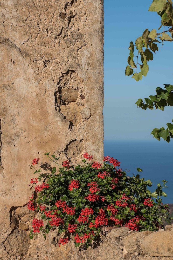 Il Castello Di San Sergio - Bed & Breakfast