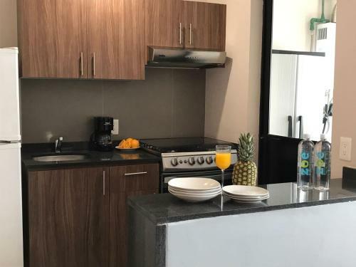 Apartamento Private 2br Penthouse Reforma