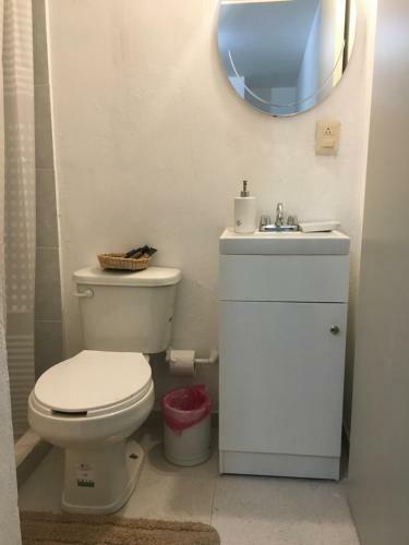 Hostal Complete House In Coyoac�n