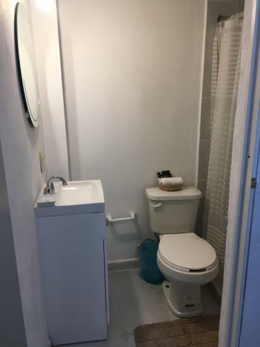 Hostal Complete House In Coyoac�n