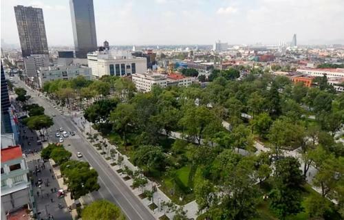 Mexico City Apartments (apt 3)