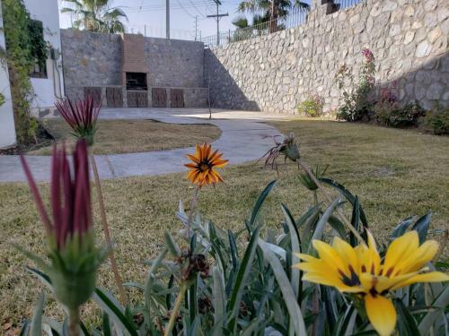 Residencia A 100 Mts Del Consulado