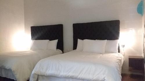 Piki Hotel Y Hostal