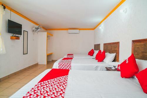 Hostal Hospedaje Colibr�