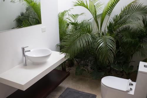 Wayak Jungle Villas