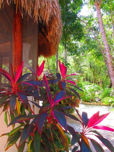 Lodge Pueblito Selva Chemuyil