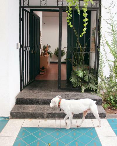 Hostal Casa Sabina