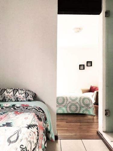 Casa T