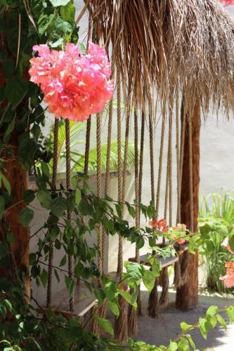 Tierra Mia Boutique Hotel