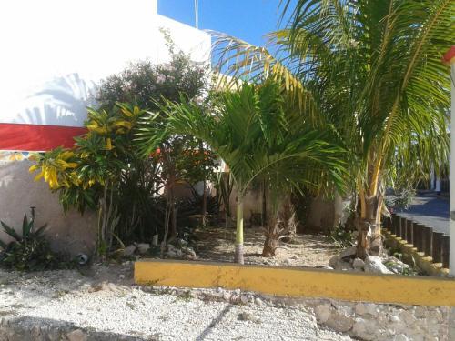 Apartamento Casa Mia