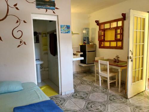 El Malecon, Central Mini Apartments