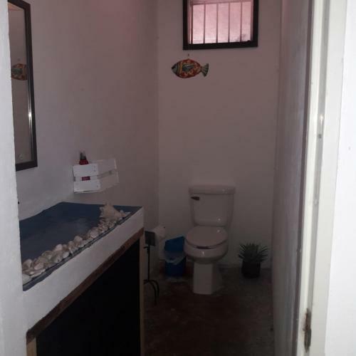 Mahamaca Hostel Glamping Tent