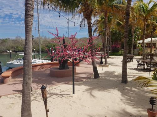 Apartamento Costa Bonita Marina