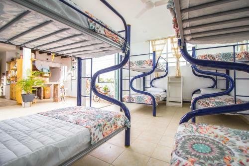 Tropical Home Vallarta Hostal And B&B
