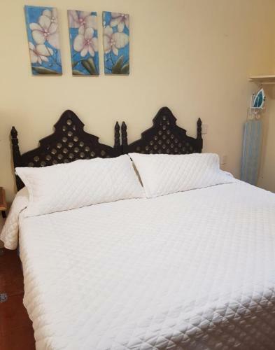 Hotel Casa Aldama