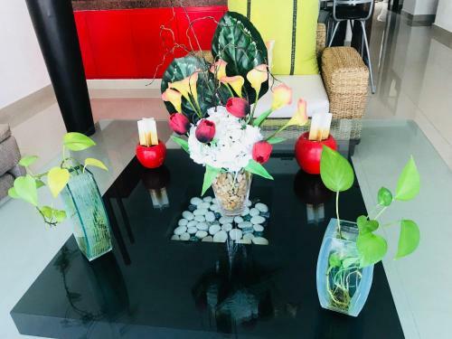 Apartamento Mamitas Penthouse