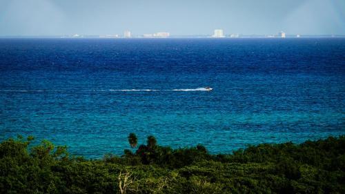 Bianco Sea View Apartments