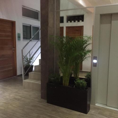 Mayalun58 Apartments