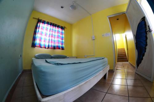 Tres Mundos Hostel