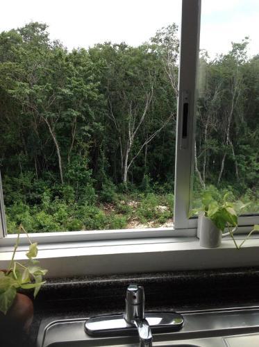 Apartamento Ezequiel�s House