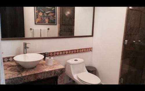 Apartamento La Palapa Unit #406 Apts