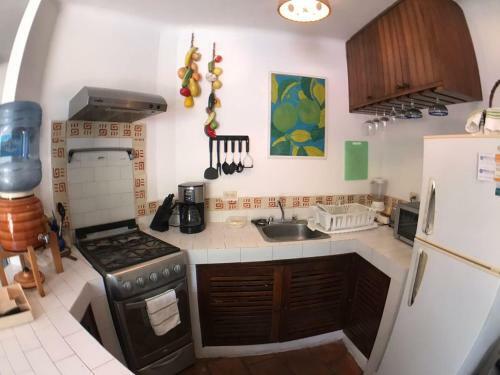Apartamento La Palapa 407