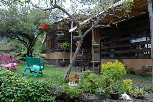 Apartamento La Troje Caba�as