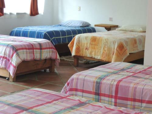 Agroturismo Ollin Calli Hostal-temazcal