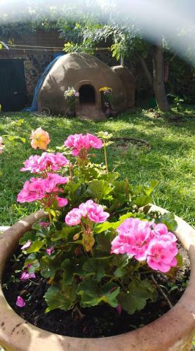 Agroturismo Ollin Calli Hostal-temazcal