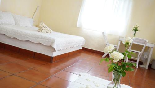 Hostal Mandalas Camping Hostel