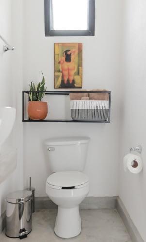 Gallo Azul, Downtown Loft Style Apartment