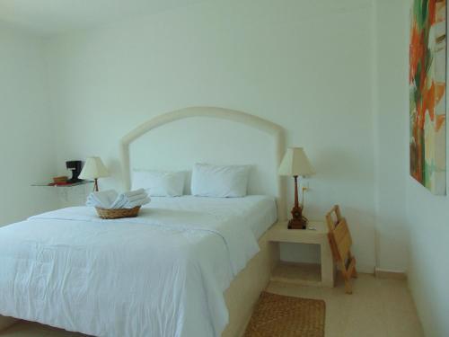 Hotel Casa Kopal