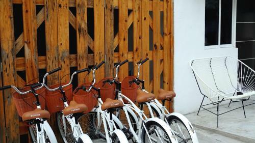 Hostel Coelum