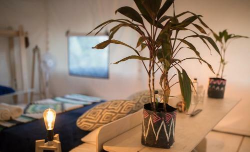 Albergue Cozy Private Glamping