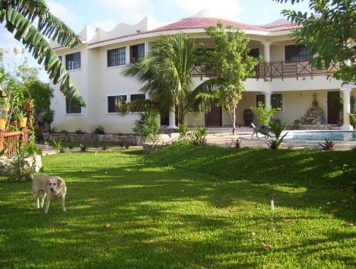 Lge Privat Villa / 13 Bed Sizes