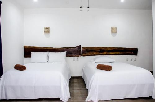 Apartamento Suite Casa Tortuga