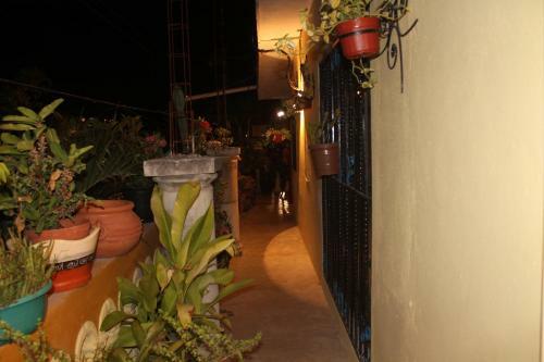 Apartamento El Jardin De Iris Tulum Penthouse