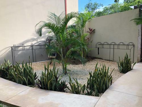 Apartamento Casa Sa'am Tulum, Two Free Bikes��