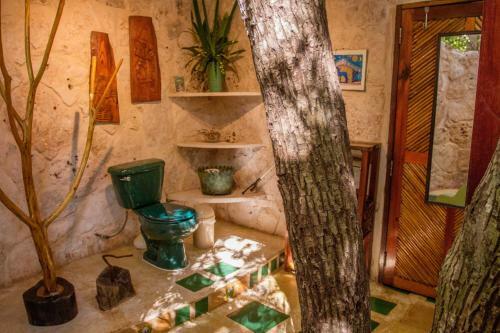 Bed & Breakfast La Selva Mariposa