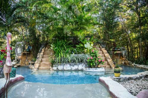 Bed & Breakfast La Selva Mariposa