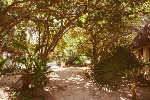 Hotel Esencial Tulum